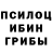 Псилоцибиновые грибы Cubensis Dina Chechenskaja