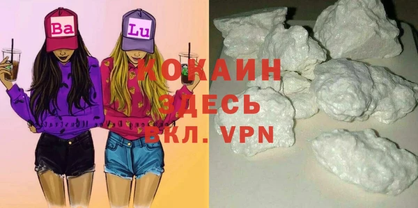 соль ск Алексин