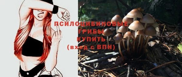 мяу мяу мука Арсеньев