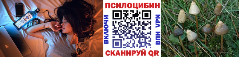 Псилоцибиновые грибы мицелий  Куйбышев 