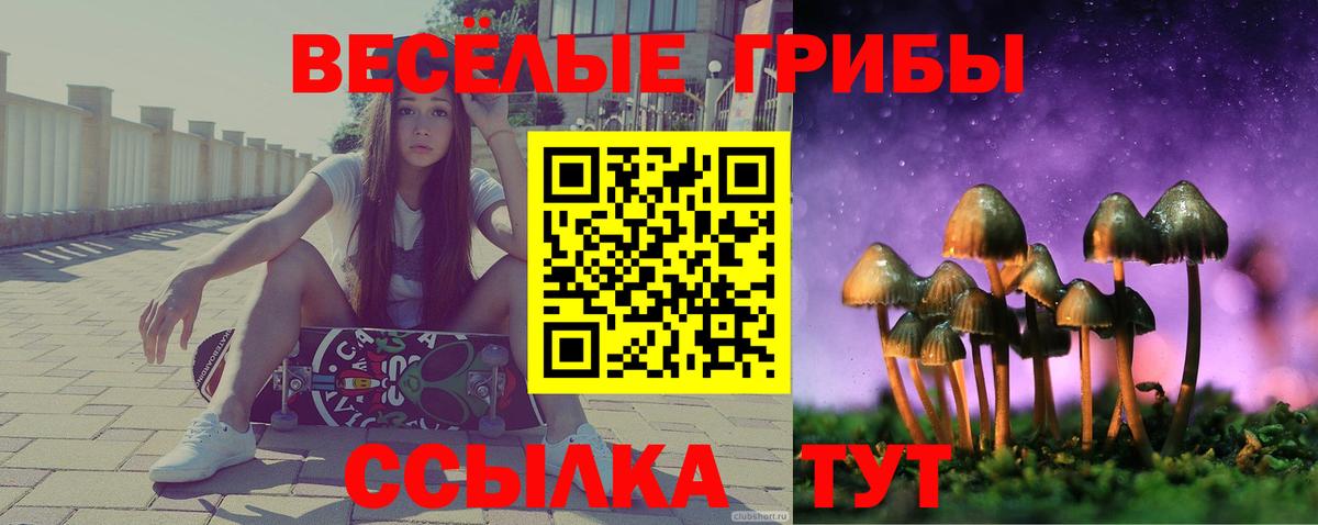 Псилоцибиновые грибы ЛСД Куйбышев