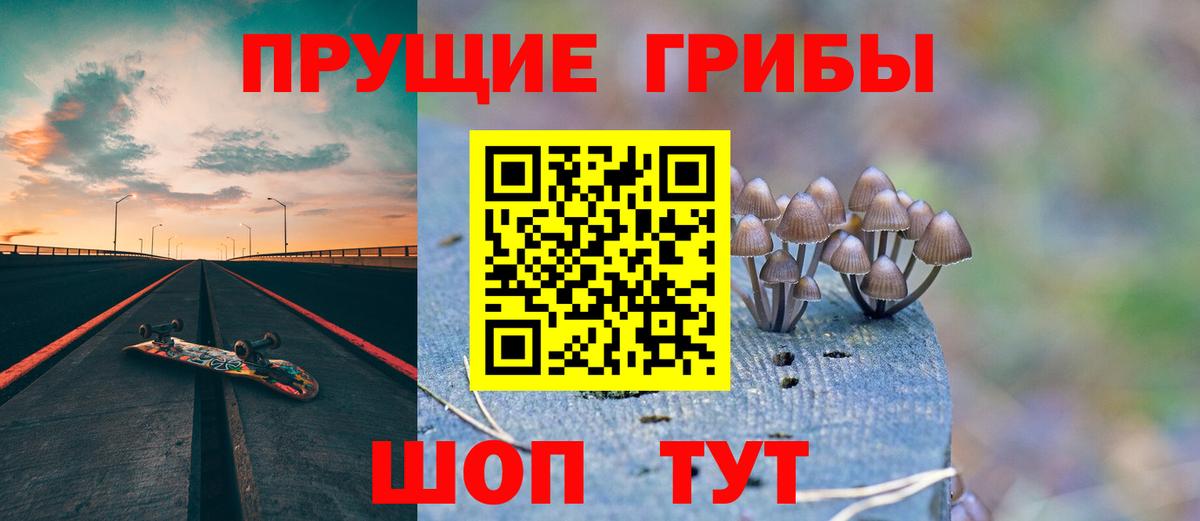 Куйбышев  Галлюциногенные грибы Psilocybine cubensis  Вход с VPN 
